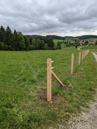 Weidezaun in Mönchengladbach - fachgerechte Ausführung vor Ort