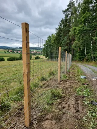 Wildzaun in Mönchengladbach - fachgerechte Ausführung vor Ort